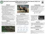 What state is environmental DNA found and does that affect detection rates in the North American river otter?